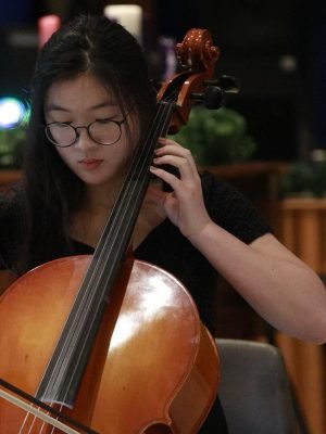 Violin lessons at Charlotte NC, Ballantyne